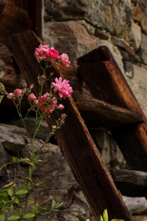 La Mura' - Il Vostro Posto Nel Gran Paradiso Ronco Canavese Экстерьер фото