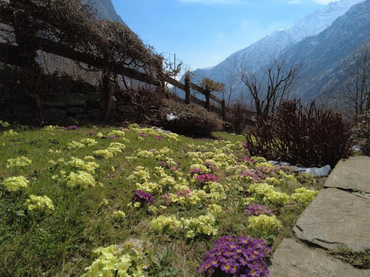 La Mura' - Il Vostro Posto Nel Gran Paradiso Ronco Canavese Экстерьер фото