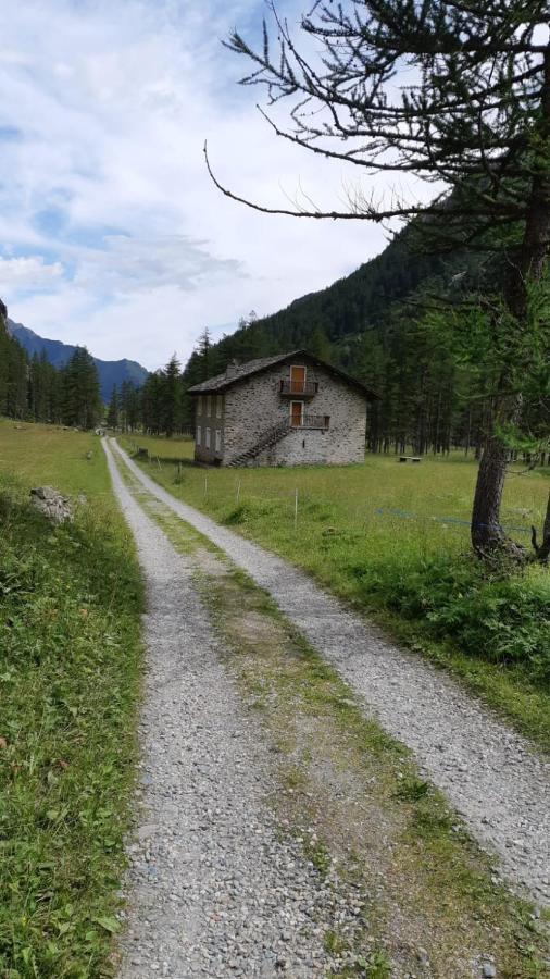 La Mura' - Il Vostro Posto Nel Gran Paradiso Ronco Canavese Экстерьер фото